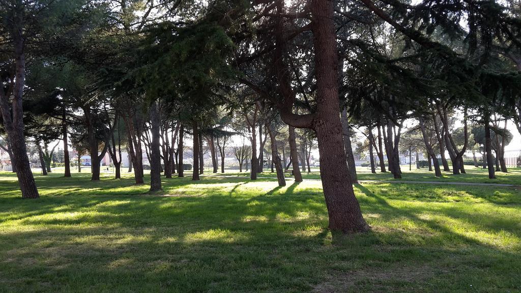 Susy Apartman Umag Kültér fotó